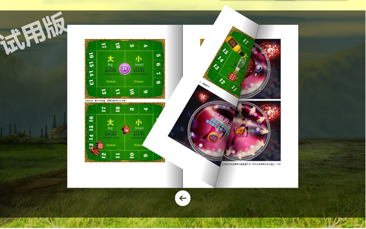 电子翻书软件,钥淇翻书系统